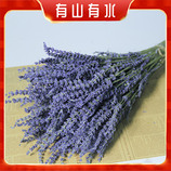 共同