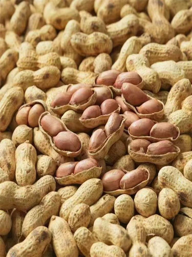 柴火炒花生 500g*4袋 原味炒熟地锅 带壳炒货花生 皮薄易剥