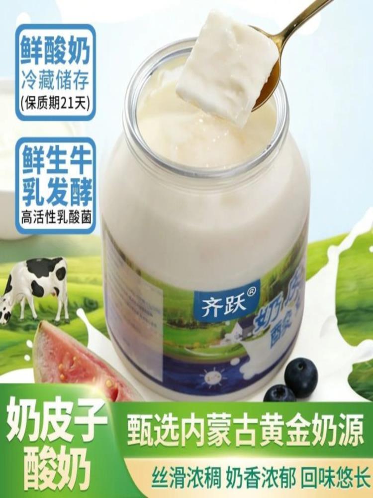 奶皮子酸奶 308g*3罐 酸奶 草原内蒙活菌 内蒙古特产 产地直发
