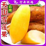共同