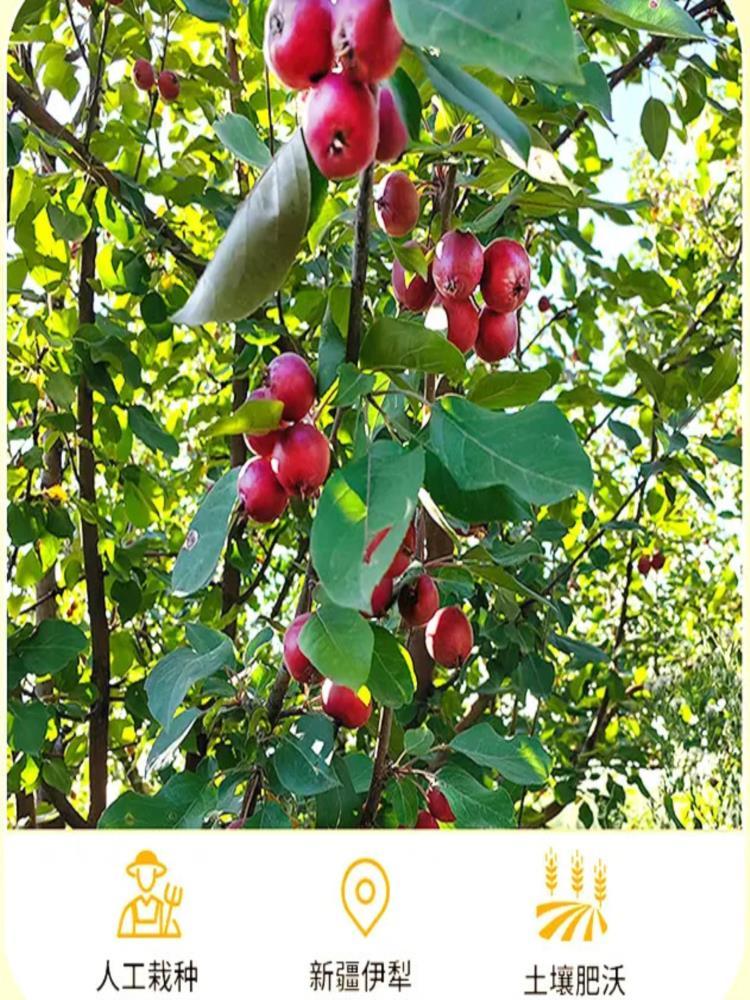 【新疆伊犁直发】红肉果丹皮 100g*4根 六星街红肉海棠果丹皮 酸甜可口