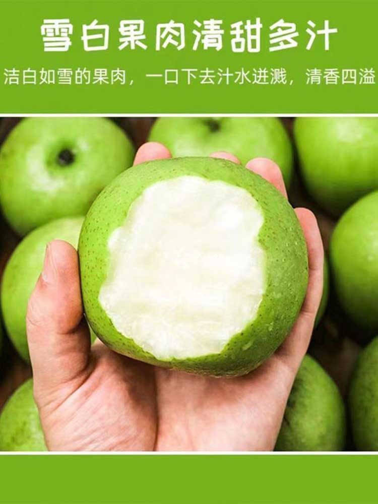 安徽砀山青皇冠梨净重9斤【单果220g+】酥脆爽口 香甜多汁