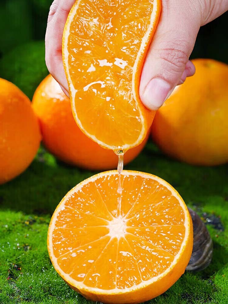 四川青见果冻橙特大果【80mm+】·净重9斤