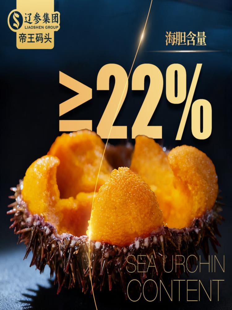 海胆饺子 240g*2袋 共24个 皮薄馅大海胆饺子口感鲜甜海鲜饺子