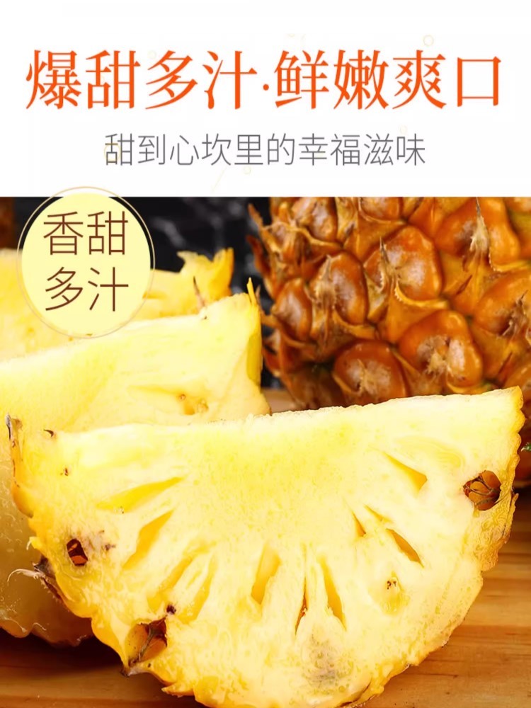 广东香水菠萝净重8斤