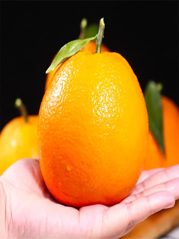 奉节脐橙当季新鲜橙子水果彩箱装
