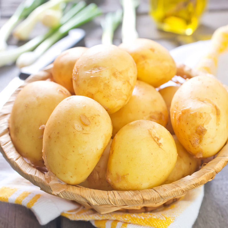 山东迷你黄心土豆-"豆"你玩2.5kg
