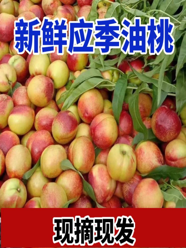 湖北黄心油桃 净重4.5斤 应季水果 源头直发 新鲜现摘现发