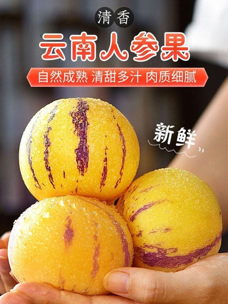 云南石林-人参果·大果5斤(单果约80-110g)树熟黄肉圆果