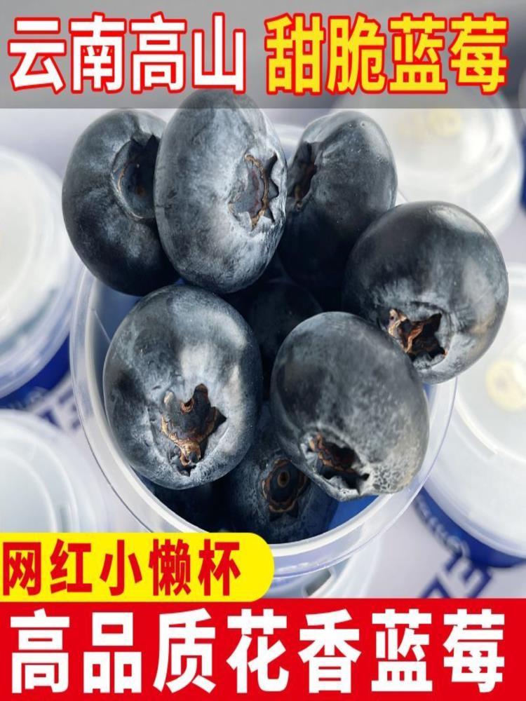 【顺丰/京东】花香蓝莓 125g*4盒 果径18mm+ 云南澄江抚仙湖