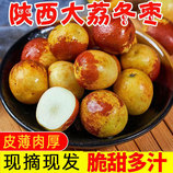 共同