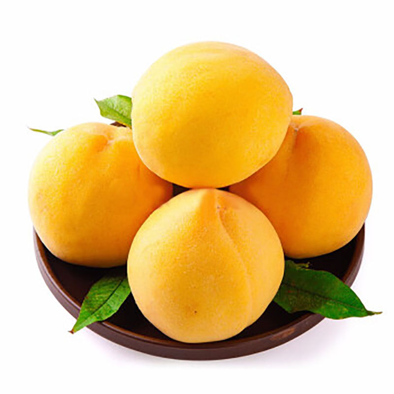 新鲜黄桃山东蒙阴黄金蜜桃4.5斤