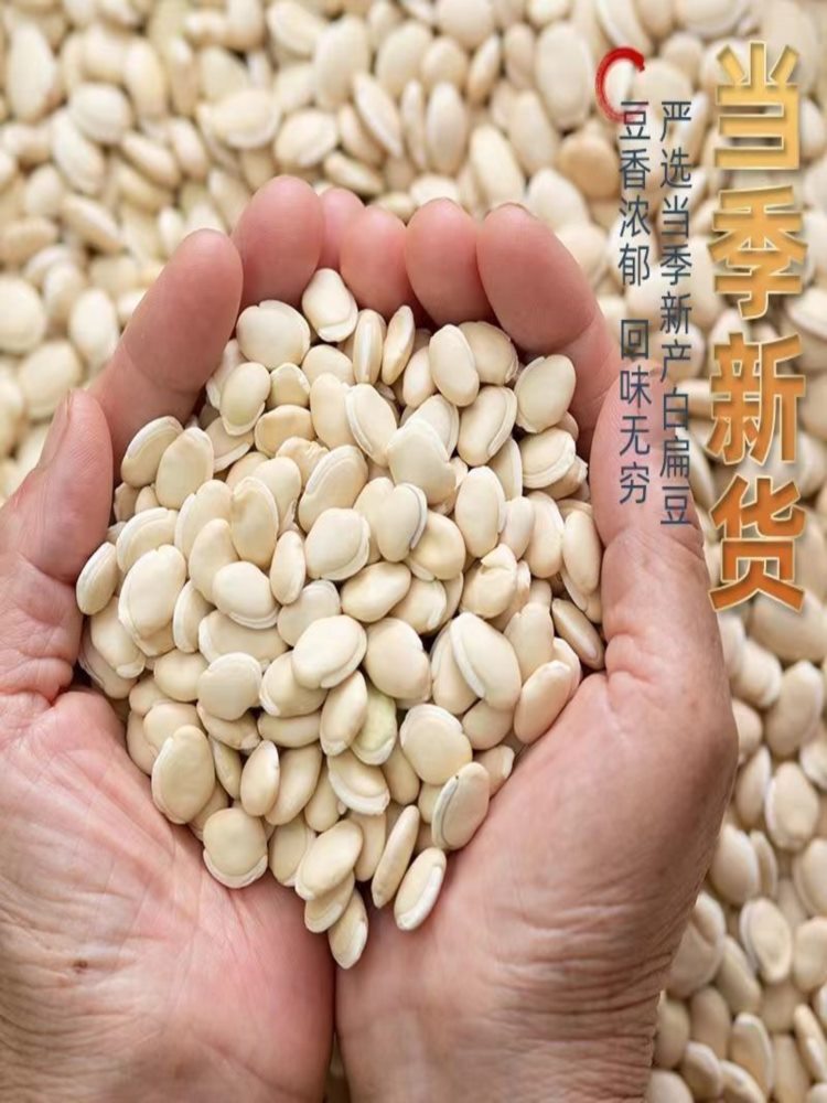 正宗白扁豆 3斤 农家自种 正宗炒熟药用云南煮粥薏仁粳米粥老品种