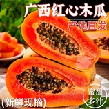 共同