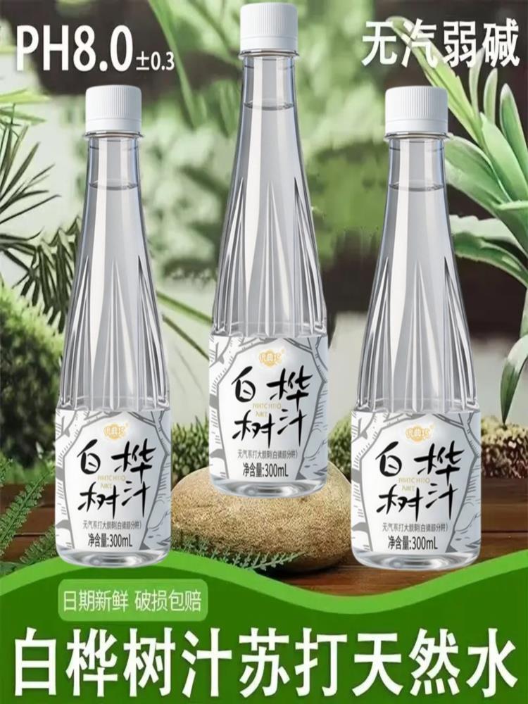 白桦树汁 300ml*24瓶 苏打天然水饮料原汁饮品