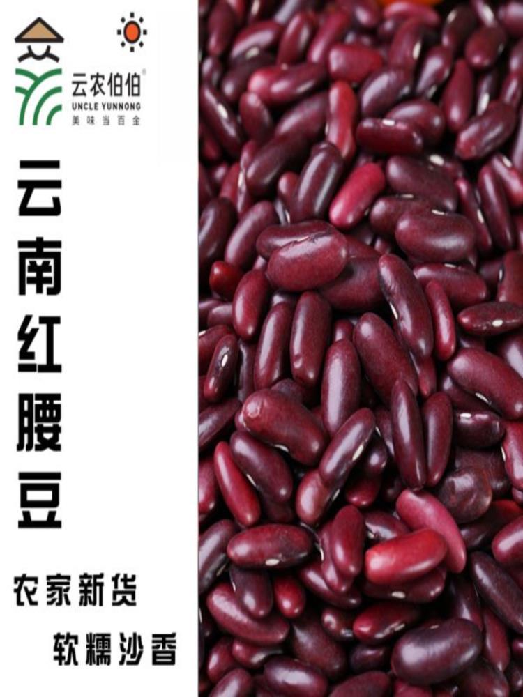 【云南特产】新货红腰豆 5斤装 大红豆 农家自产 红芸豆 五谷杂粮