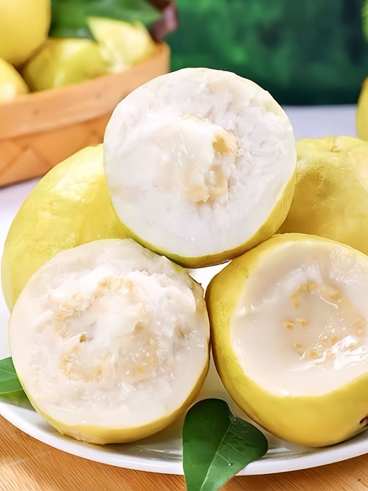 广东白心芭乐【单果150g以上】·5斤装