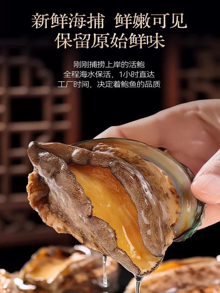 精品-八成熟鲍鱼肉22头（去牙，去壳，去内脏）