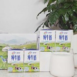 共同