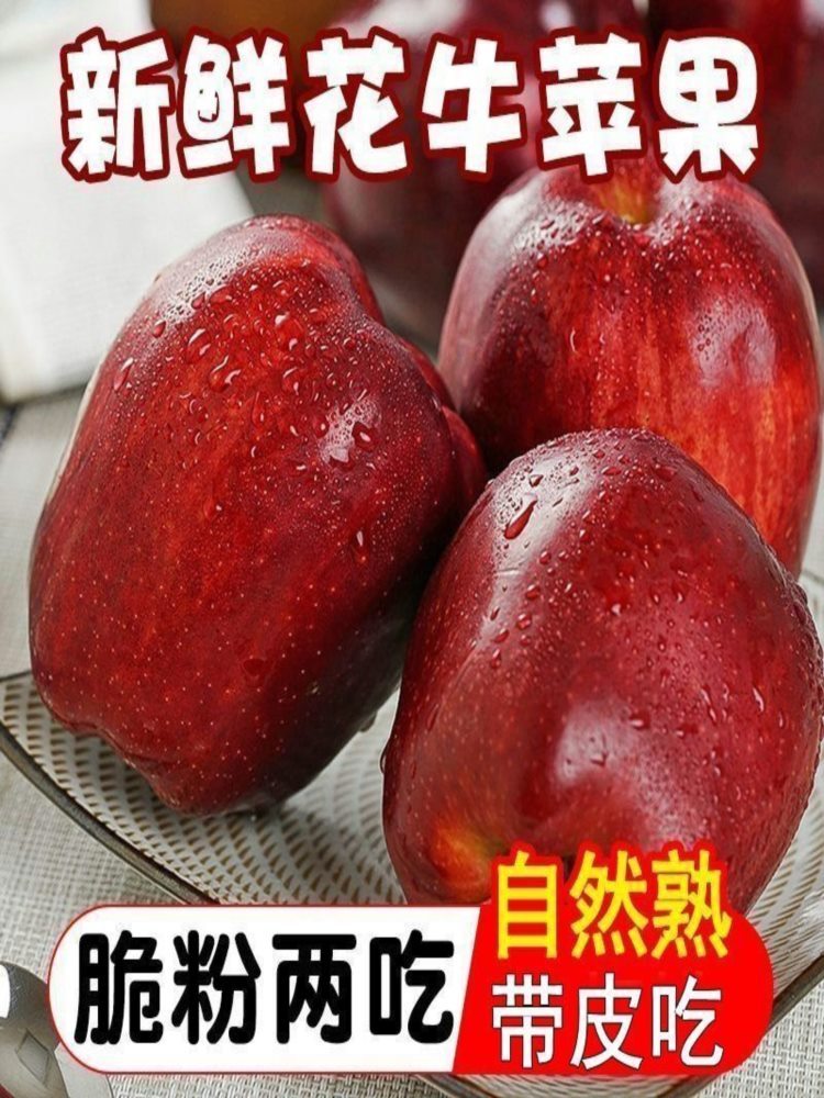 【果园精选】花牛苹果 净重8.5斤装 果径70-80mm  优选甘肃核心产区