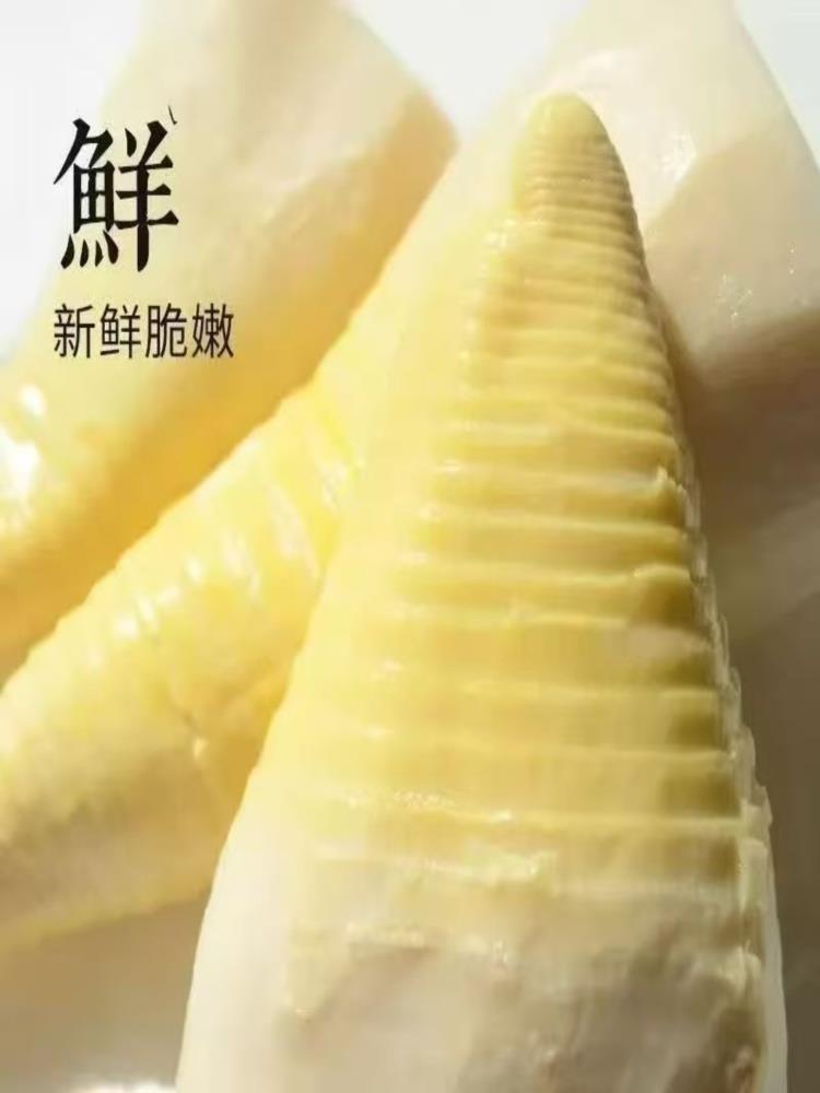 【福建特产】新鲜冬笋 5斤 竹笋野生春笋 冬笋水煮清水笋 火锅笋