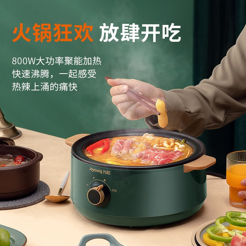 九阳 电炖锅家用多功能料理锅DG20G-GD160 绿色 10051952·绿色