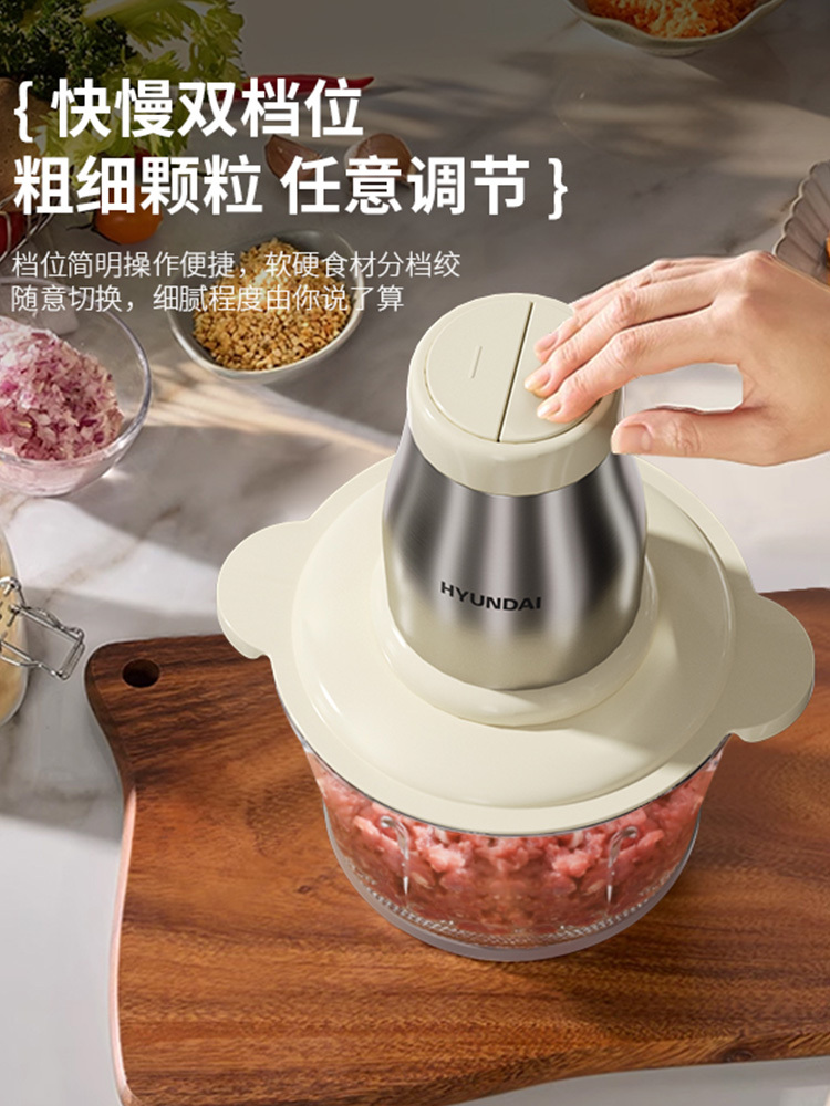 HYUNDAI 绞肉机2L  XF-20