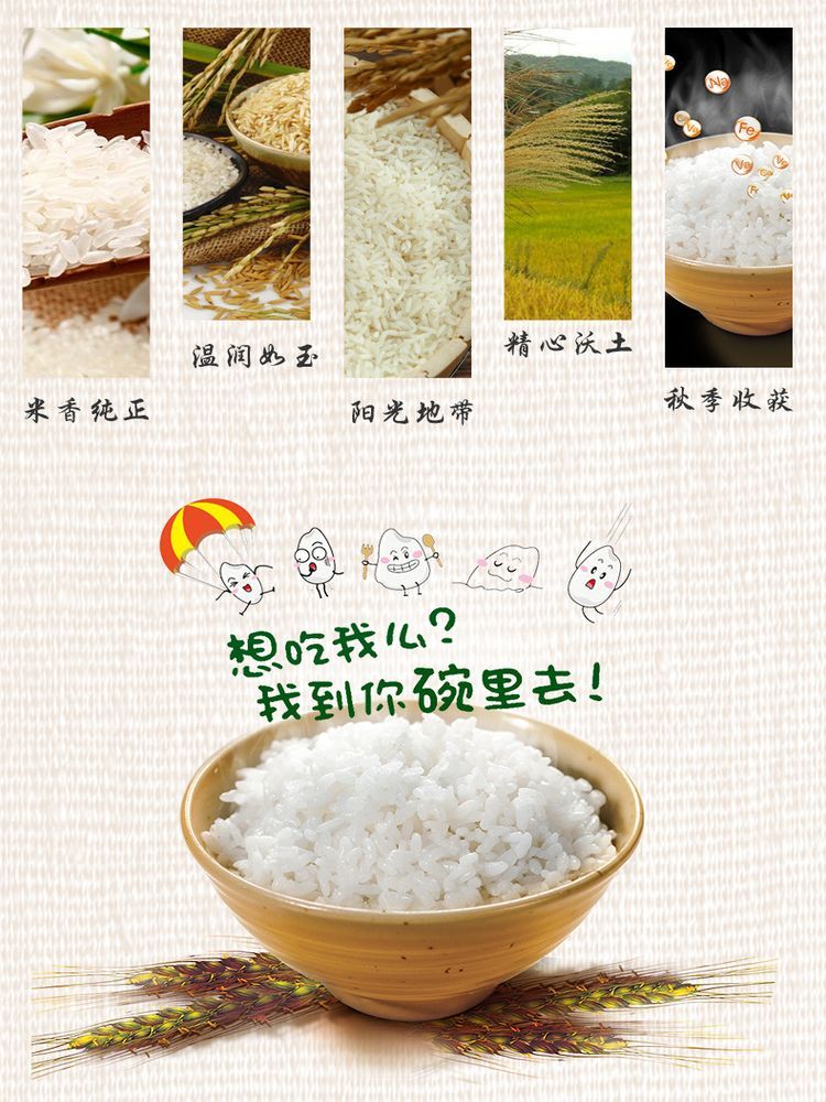 惠买庄园 三绿源东北珍珠米2.5kg 香软饱满