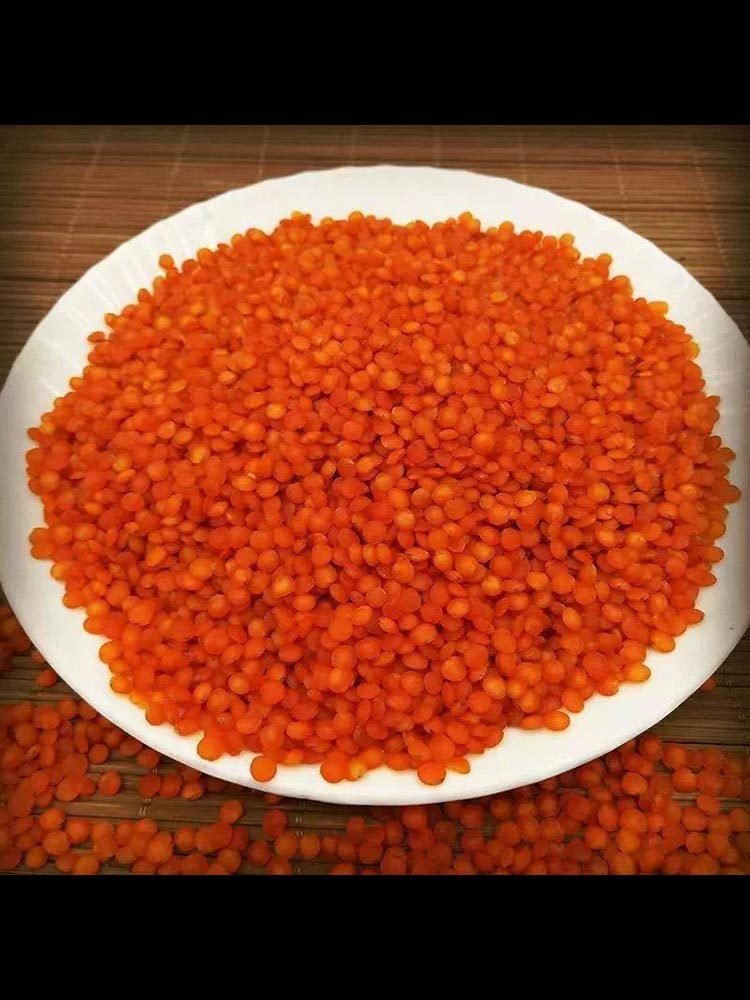 土耳其红小扁豆250g*10包