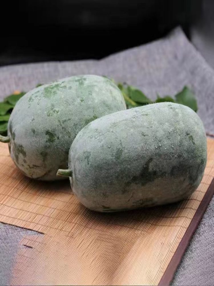 【精选好瓜】高原小冬瓜 9-9.8斤 一串铃粉皮迷你云南小冬瓜当季新鲜蔬菜