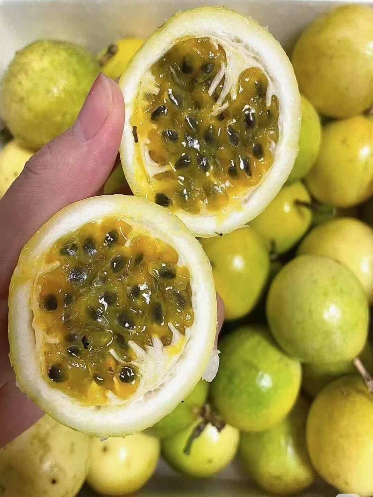 【顺丰快递】海南钦蜜9号黄金百香果5斤单果70-80g