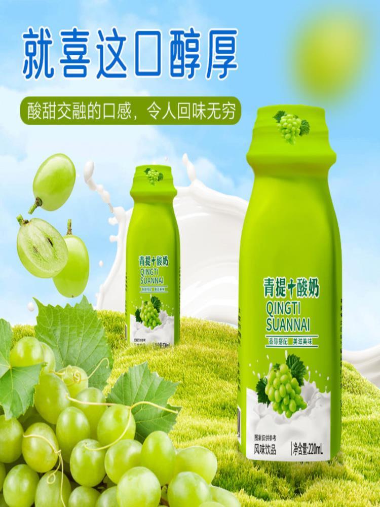 青提酸奶 220ml*20瓶 营养早餐风味整箱解腻饮料饮品