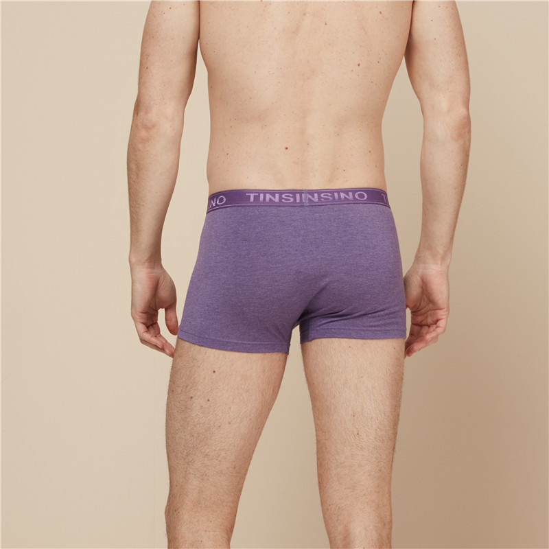 纤丝鸟男士明筋平角裤3条装-花纱紫