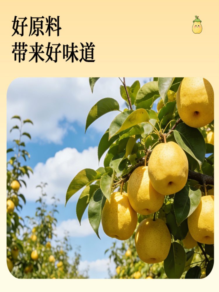 【非遗美食】秋梨膏 4盒*10支 非遗整盒古法工艺砀山酥梨