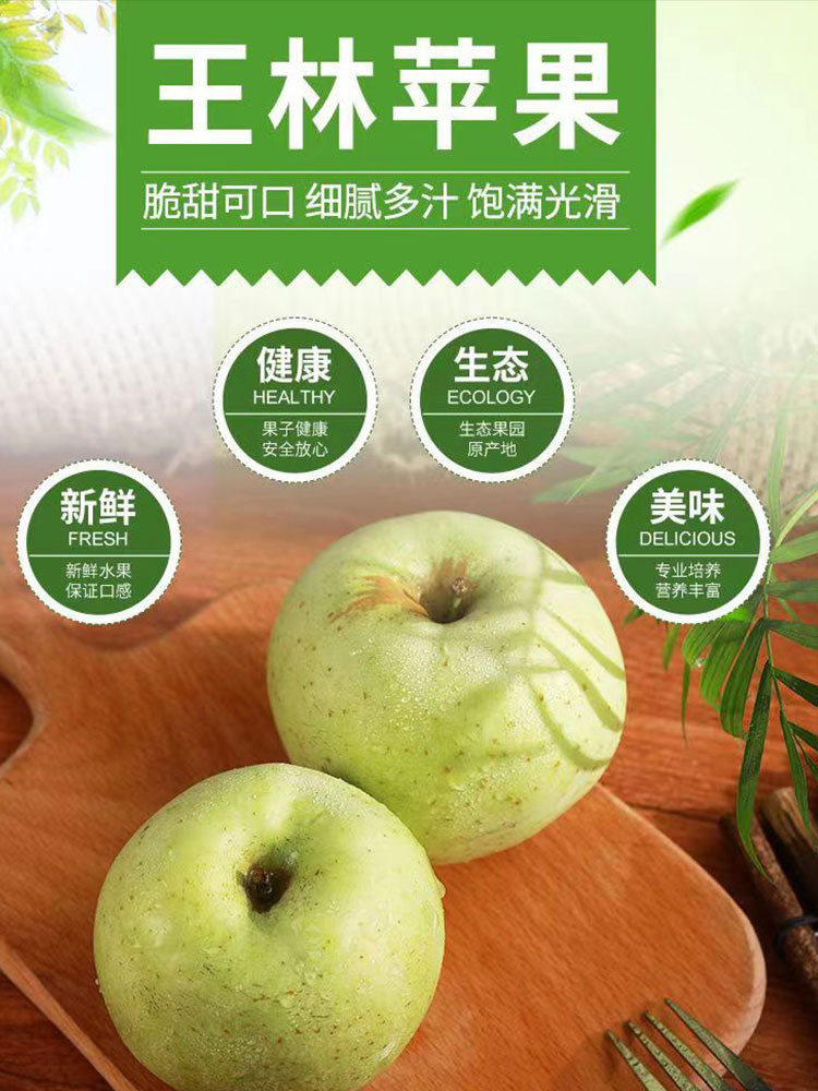 精品-王林苹果大果80以上（三色混发）净重4.5斤·顺丰包邮