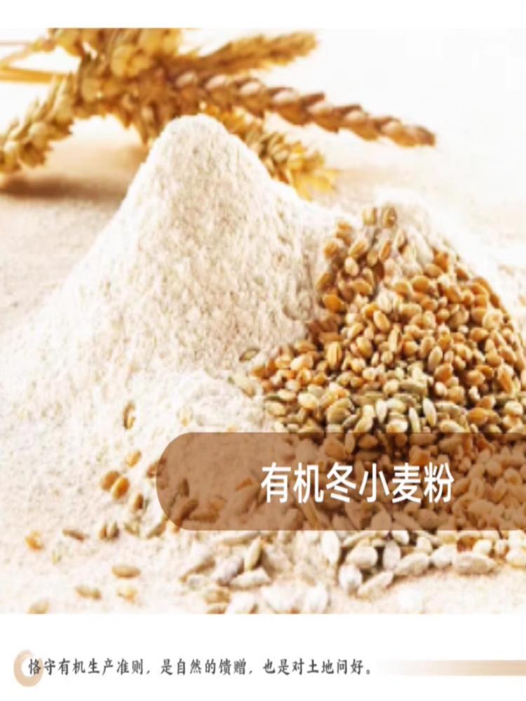 有机豆瓣酱 300g*2瓶 黄豆酱蘸蔬菜炸酱面炒菜拌面