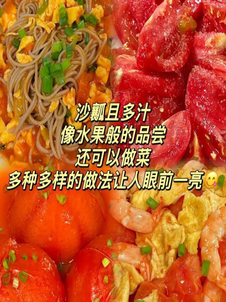 【陕西泾阳】普罗旺斯西红柿番茄 净重4.5斤（12-16枚）中果