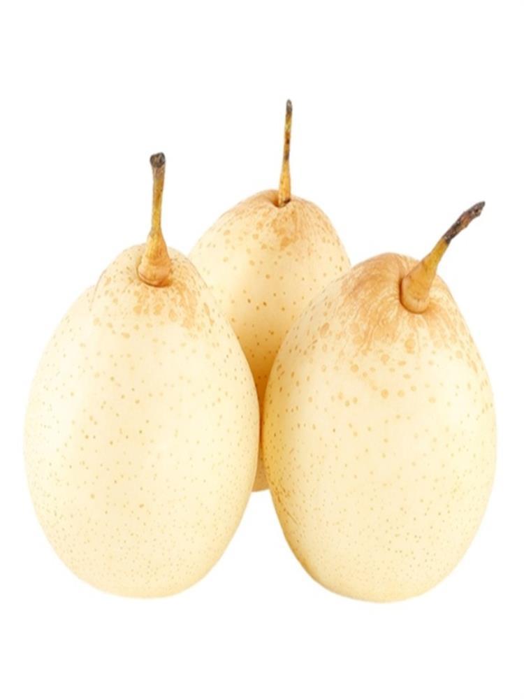 鸭梨 9斤 水晶梨 冰糖雪梨子 脆甜 新鲜水果应季整箱