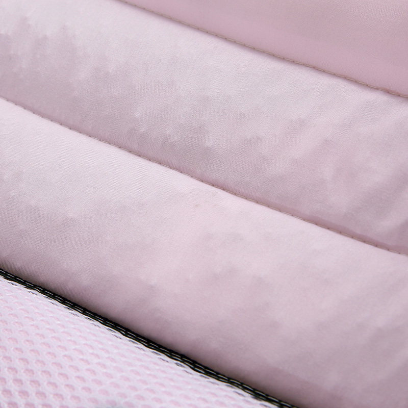 2只艾草抗 菌驱蚊枕头决明子保健枕芯枕头·粉色