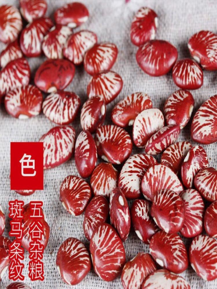 云南斑马豆 5斤 新货农家自产大圣豆 荷包豆 饭豆煲汤煮粥