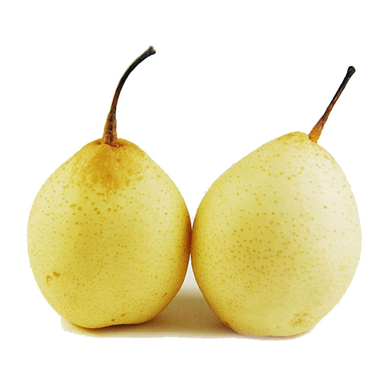 河北大鸭梨新鲜10斤装(含箱)