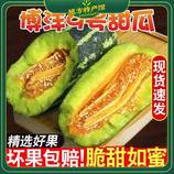 共同