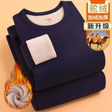 藏青