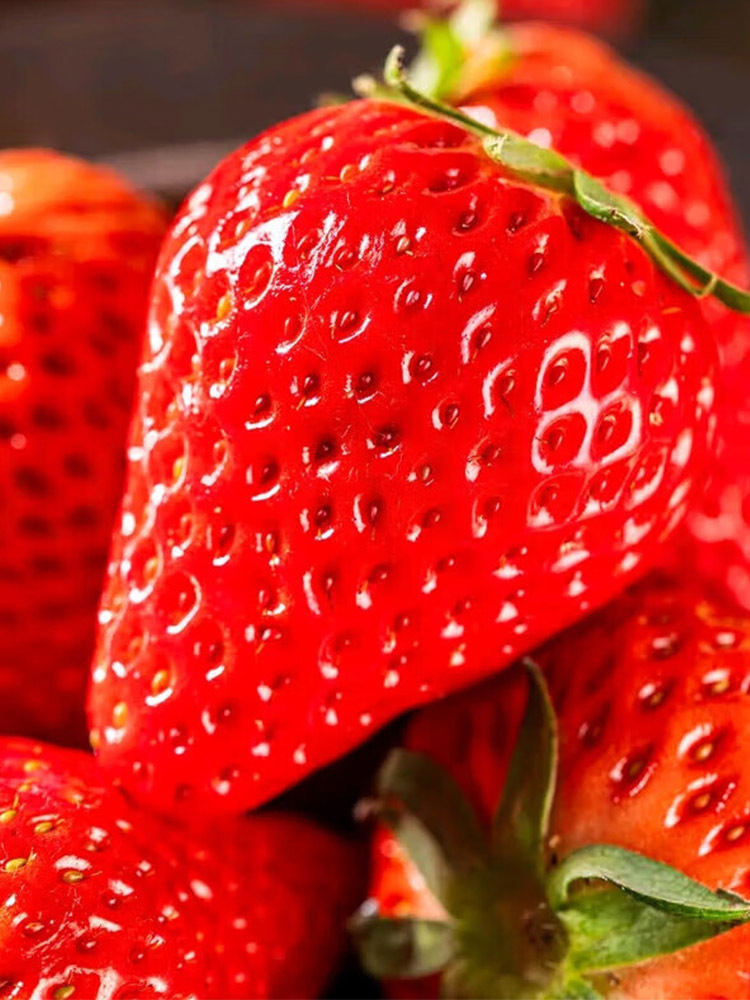 顺丰 山东奶油草莓大果【18-25g】·3斤