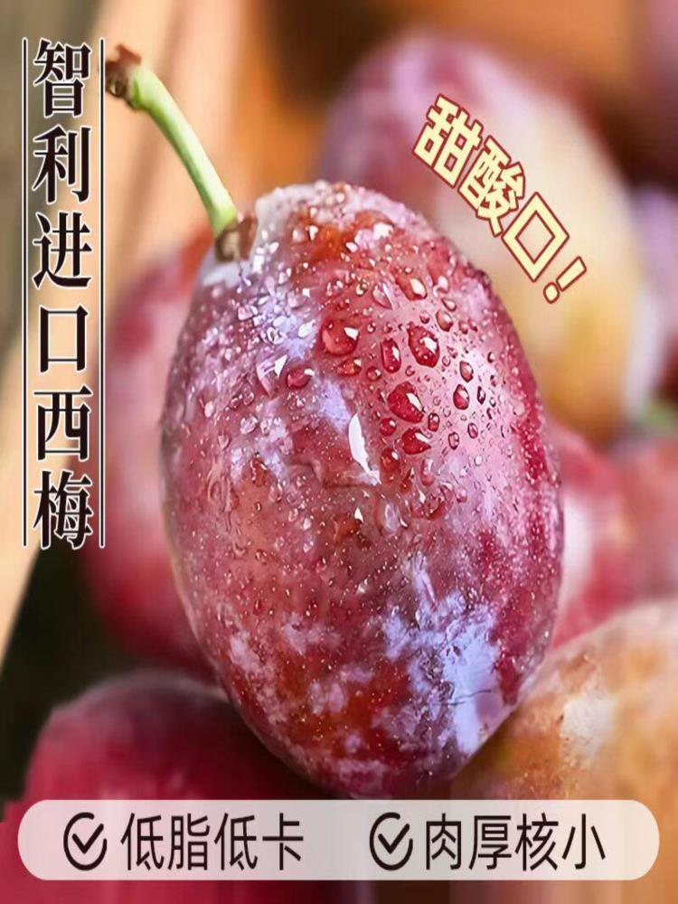 【顺丰速运】利智西梅 3斤 小果 新鲜酸甜李子 当季时令水果
