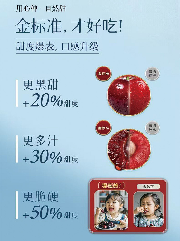 大连美早樱桃车厘子当季水果大樱桃果园直发2.25千克