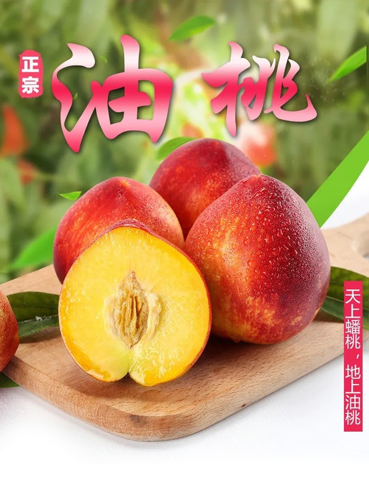 红皮黄肉油桃· 带箱5斤大果【彩箱+网套】【单果65g+】