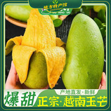 共同