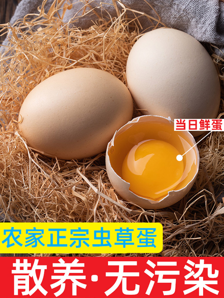 （有样儿农场）50枚玉米黄大号虫草蛋鸡蛋 （50-55g/枚）·盒装