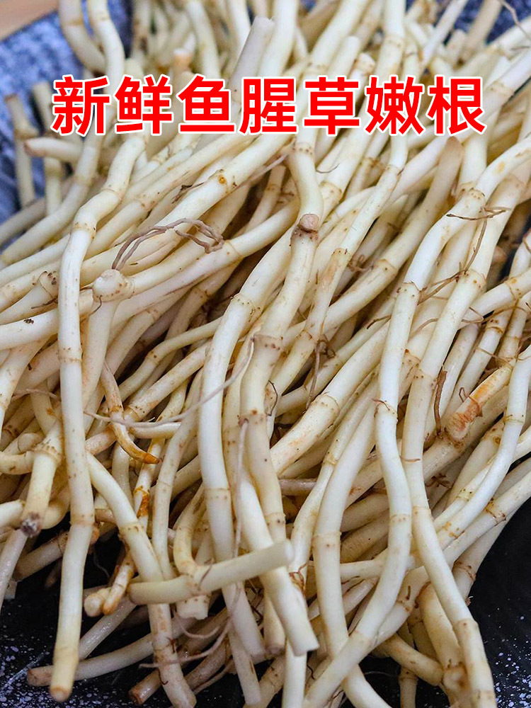 鱼腥草(折耳根）凉拌菜5斤